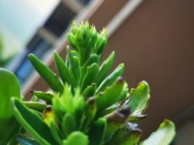 老公出轨后不愿谈及婚外情(老公出轨后总是怀疑他会再次出轨)