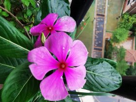 老公负债搞婚外情怎么办(老公在外上班出轨怎么发现)