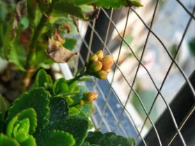 婚外情是默默离开还是好好告别(婚外情放不下的话怎么说)