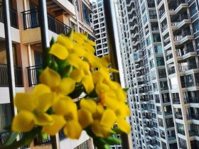 已婚男人出轨了还能放下婚外情吗(出轨男人婚外情能维持几年)