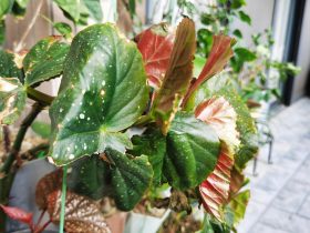 离婚4年怀疑前夫有婚外情(前夫婚外情和女人同居两年)