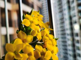 婚外情男人不愿放手的理由(婚外情的博弈让男人永远放不下你)