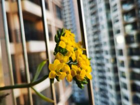 老公出轨该怎么干掉婚外情(老公有了婚外情怎么让他彻底回归)