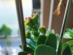 婚外情只有女人才会觉得痛苦吗(婚外情女人希望男人过得好吗)