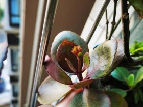 婚外情的人为什么不离婚(婚外情相处的时间越长就越想结婚)