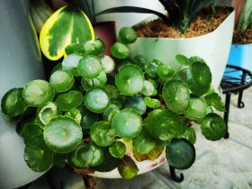 当婚外情开始消耗自己(婚外情很痛苦不舍得放手)