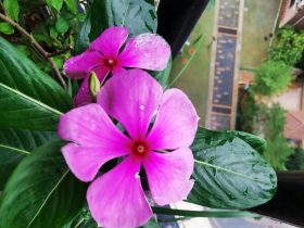 婚外情从哪里可以看出有真的感情(什么样的婚外情才是真感情)