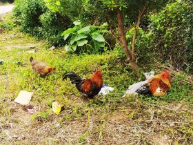 和前任婚外情是真爱吗(已婚男人和前任有婚外情)