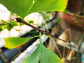 老公婚外出轨怎么处理(怎样判断出轨老公已经放下婚外情)