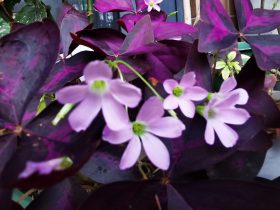 有婚外情的人往往需要什么(婚外情是错的时间遇到对的人吗)