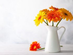 真情说法隐藏了八年的婚外情(婚外情的大戏里谁才是真正的赢家)