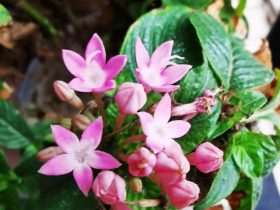 婚外情想放弃又舍不得的感情(对于婚外情不管如何不舍都要放下)