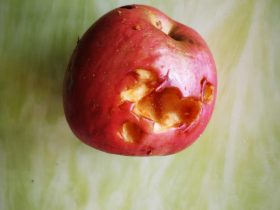 婚外情小三如何弥补原配(婚外情能上位的小三是什么样)