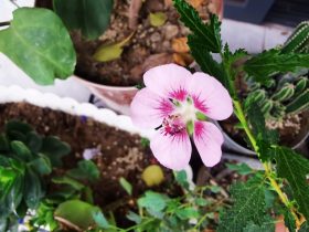 怎么判断出轨老公已经放下婚外情(发现老公婚外情该不该离婚)