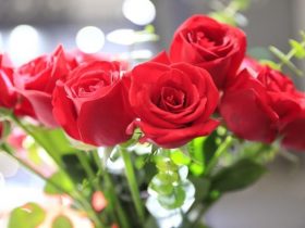 讲婚外情的爱情故事(婚外情与婚姻的真相)