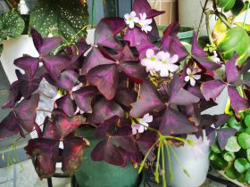 婚外情男人和女人谁的责任大(家庭责任感很强的男人出轨)