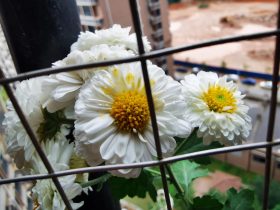 婚外情的女人有真心的吗(婚外情女人说我们以后不可能了)