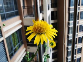 男人一旦有了婚外情还会爱老婆吗(婚外情的男人会厌倦老婆)