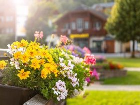 一个婚外恋的女人有多傻(一个中年婚外情女人的真实告白)